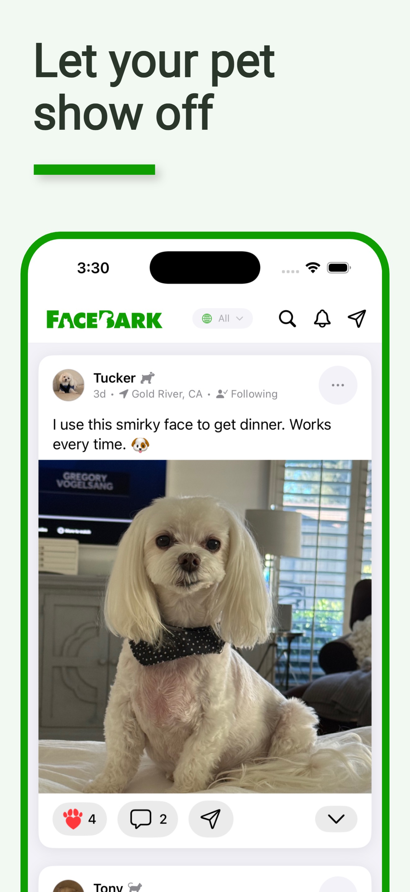 Let your pet show off — Facebark home feed