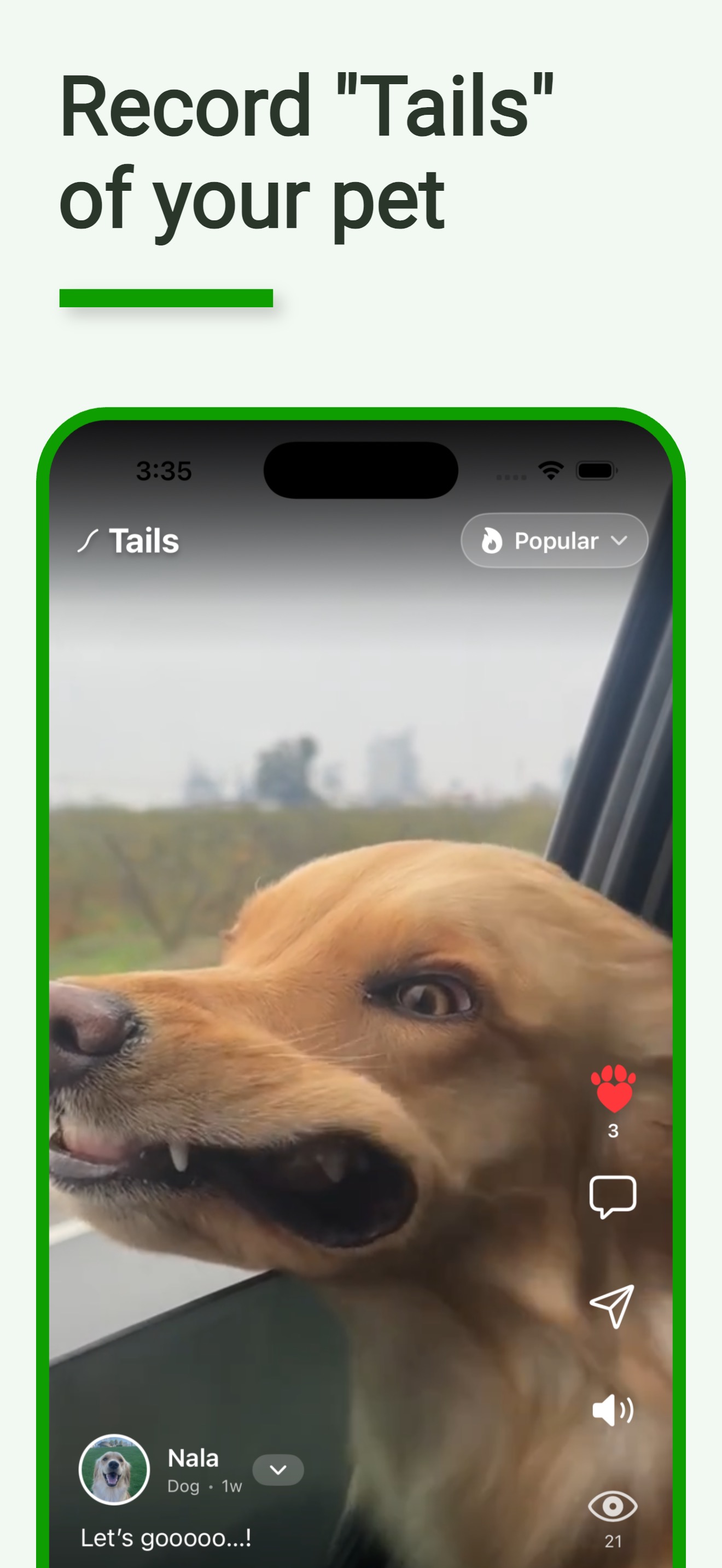 Record Tails of your pet — short-form video